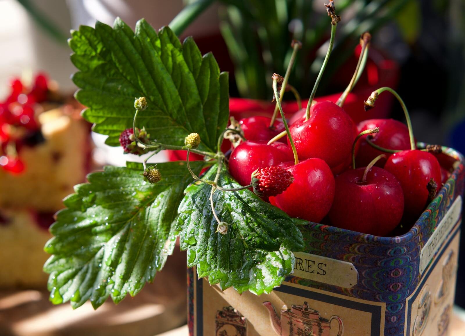 Vibrant cherries and berries in a vintage tin with fresh green leaves, perfect for a summer garden vibe.