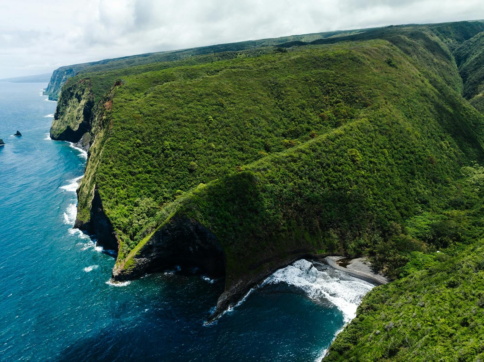 A breathtaking aerial view of Halaula's lush green cliffs alongside the pristine blue ocean in Hawaii.