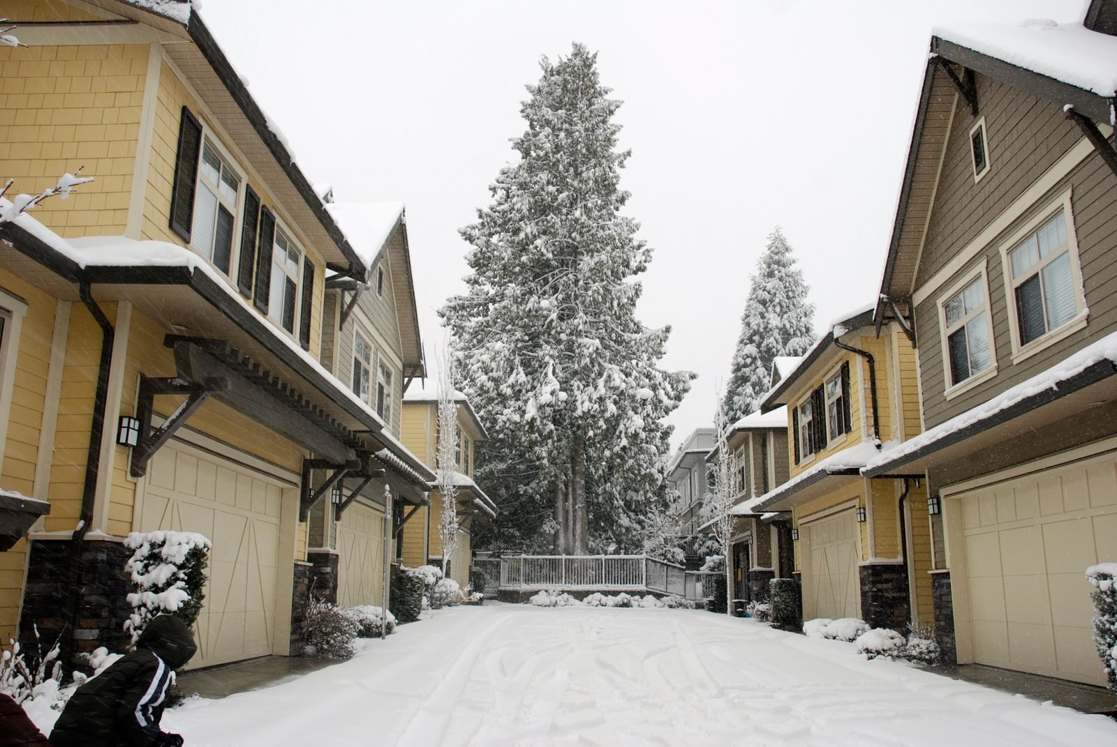 Picturesque view of houses on a snowy street with a winter landscape.