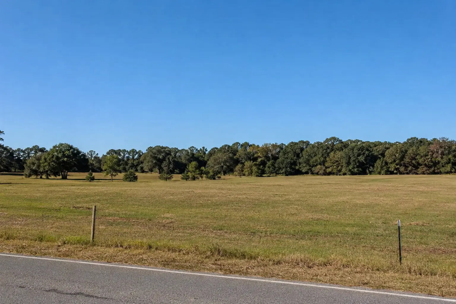 Bloomville Rd Manning SC 29102 land and property for sale with wooded rural landscape