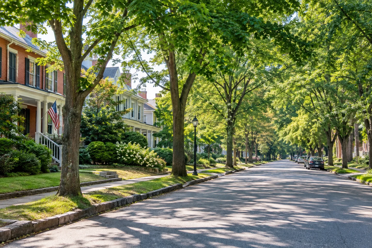 Historic tree-lined street with bungalow-style rental houses in Greensboro, North Carolina