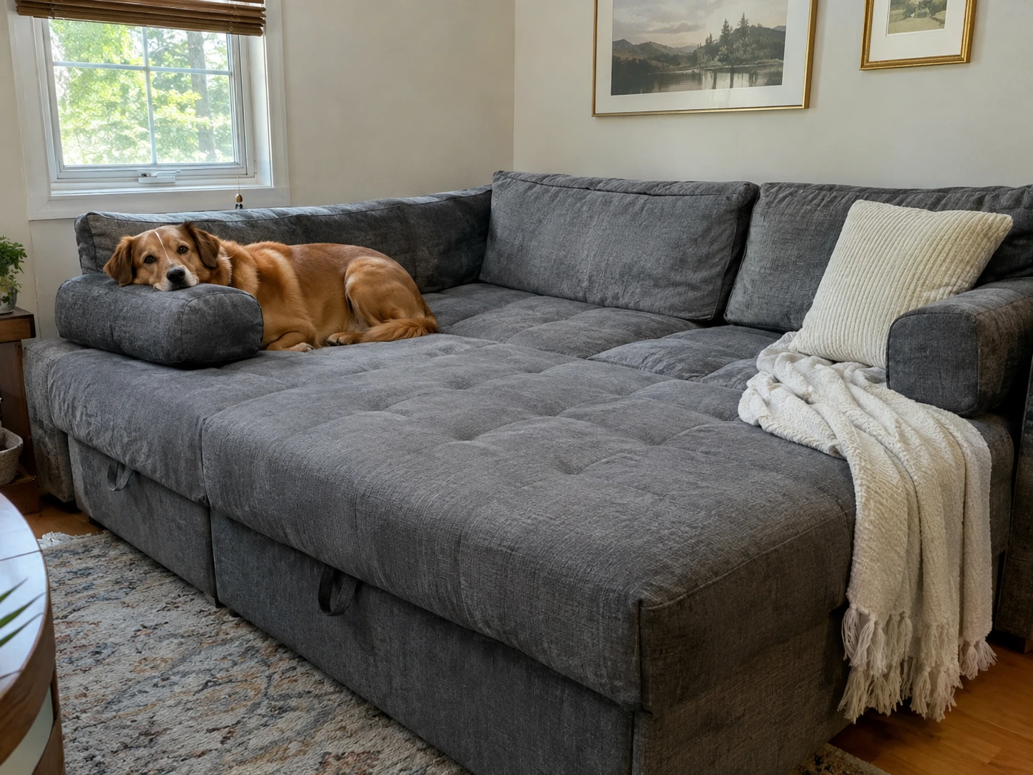 Medium-sized dog resting its head on the suede bolster of a gray sofa-style pet bed in a living room